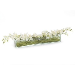 John Richard Orchid Decorative Orchid JRB-3821W