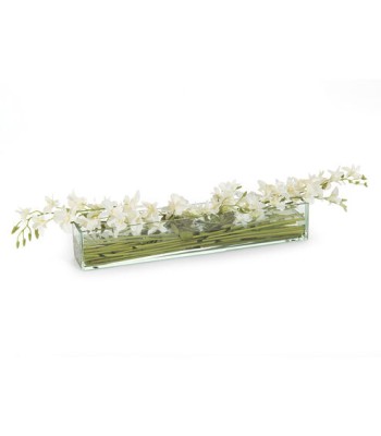 John Richard Orchid Decorative Orchid JRB-3821W