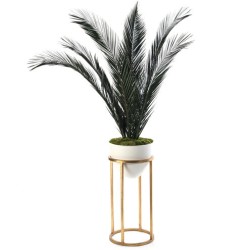 John Richard Leah Decorative Plant JRB-3849