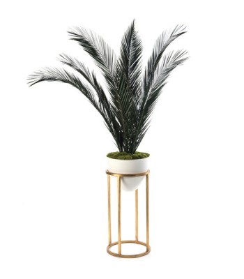 John Richard Leah Decorative Plant JRB-3849