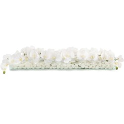 John Richard Floating Decorative Orchid JRB-3946W