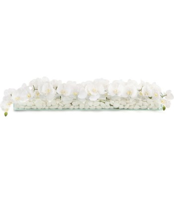 John Richard Floating Decorative Orchid JRB-3946W