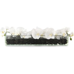 John Richard Domino Decorative Flower JRB-3947W