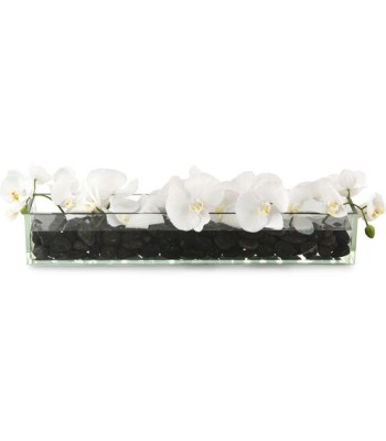 John Richard Domino Decorative Flower JRB-3947W