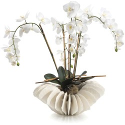 John Richard Leah Decorative Orchid JRB-4026