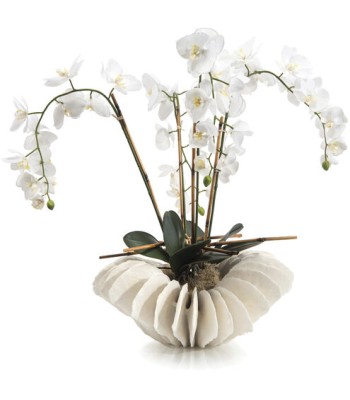 John Richard Leah Decorative Orchid JRB-4026