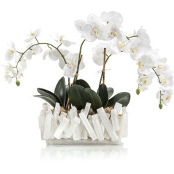 John Richard Selenite Decorative Orchid JRB-4041