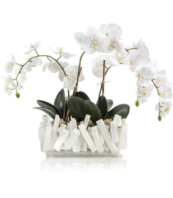 John Richard Selenite Decorative Orchid JRB-4041