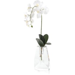 John Richard Crystal Decorative Orchid JRB-4043W