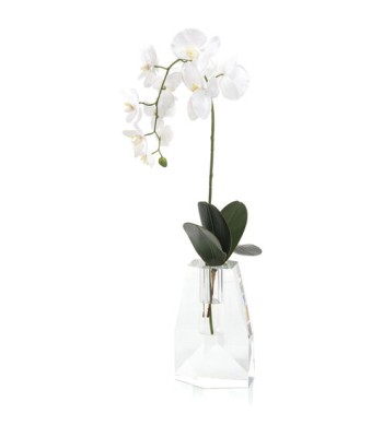 John Richard Crystal Decorative Orchid JRB-4043W