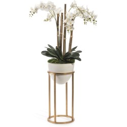 John Richard Leah Decorative Orchid JRB-4047
