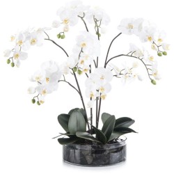 John Richard Midnight Decorative Flowers JRB-4101W
