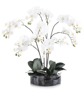 John Richard Midnight Decorative Flowers JRB-4101W