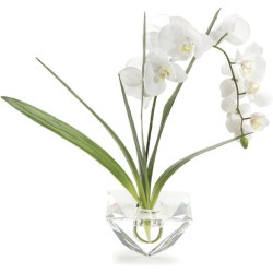 John Richard Leah Decorative Flowers JRB-4181W