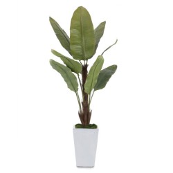 John Richard Glacier Decorative Plant JRB-4346
