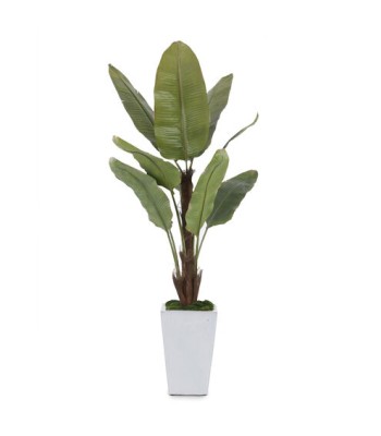 John Richard Glacier Decorative Plant JRB-4346