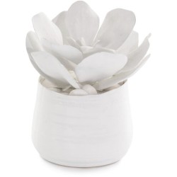 John Richard Leah Decorative Plant JRB-4361W