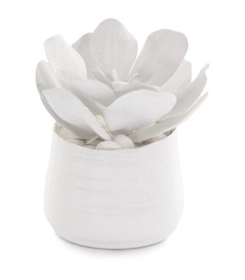 John Richard Leah Decorative Plant JRB-4361W