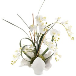 John Richard Leah Decorative Orchid JRB-4445