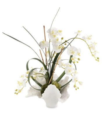John Richard Leah Decorative Orchid JRB-4445