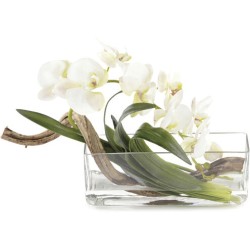 John Richard Curly Decorative Orchid JRB-4466W