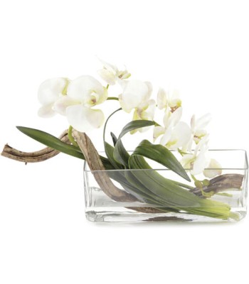 John Richard Curly Decorative Orchid JRB-4466W