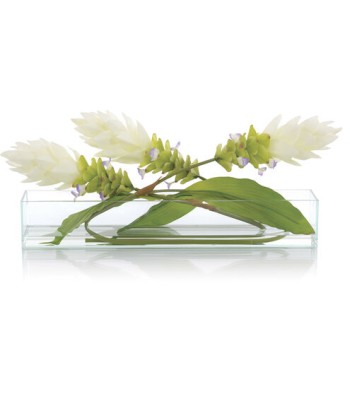John Richard Avante Decorative Flowers JRB-4627W