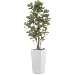John Richard Leah Decorative Plant JRB-4664
