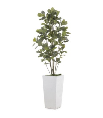 John Richard Leah Decorative Plant JRB-4664