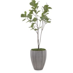 John Richard Leah Decorative Plant JRB-4677