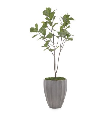 John Richard Leah Decorative Plant JRB-4677
