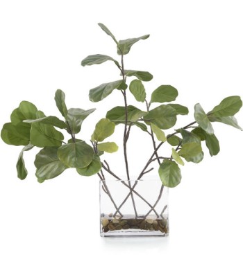 John Richard Leah Decorative Plant JRB-4687W