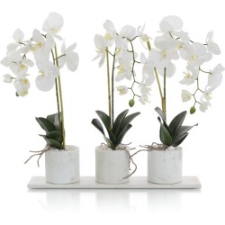 John Richard Marble Decorative Orchid JRB-4709W