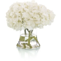 John Richard Leah Decorative Flowers JRB-4728W