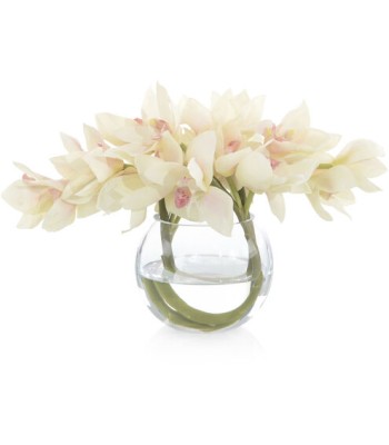 John Richard Cynbidrum Decorative Flowers JRB-4736W