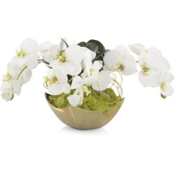 John Richard Fallen Decorative Orchid JRB-4765