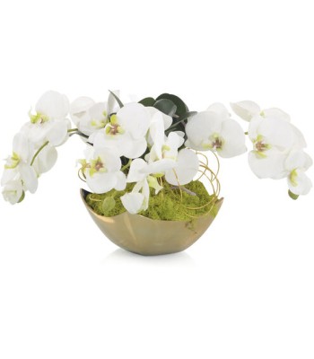 John Richard Fallen Decorative Orchid JRB-4765