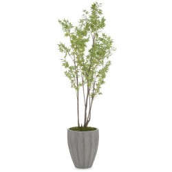 John Richard Rocky Decorative Plant JRB-4896