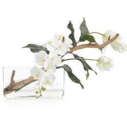 John Richard Leah Decorative Flowers JRB-4963W