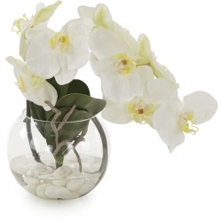 John Richard Leah Decorative Orchid JRB-5047W