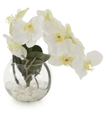 John Richard Leah Decorative Orchid JRB-5047W