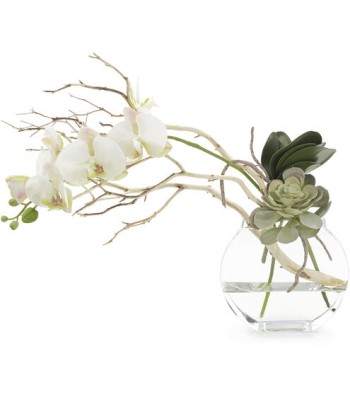 John Richard Leah Decorative Orchid JRB-5055W