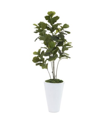 John Richard Leah Decorative Plant JRB-5099