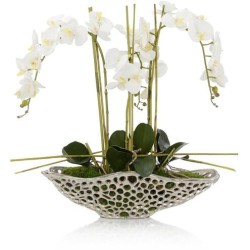 John Richard Orchid Florals JRB-5300