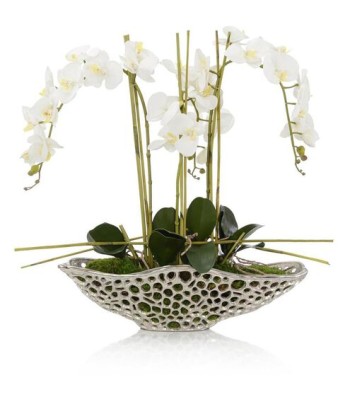 John Richard Orchid Florals JRB-5300