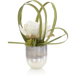John Richard Shadows In The South Florals JRB-5312