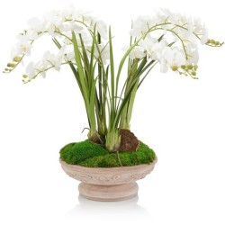 John Richard French Linen Florals JRB-5319