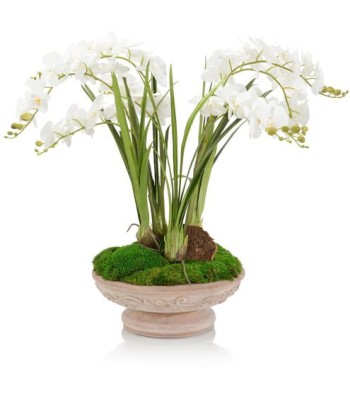 John Richard French Linen Florals JRB-5319