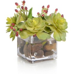 John Richard Succulents & Hypericum Fresh Water Look JRB-5325W