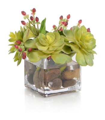 John Richard Succulents & Hypericum Fresh Water Look JRB-5325W